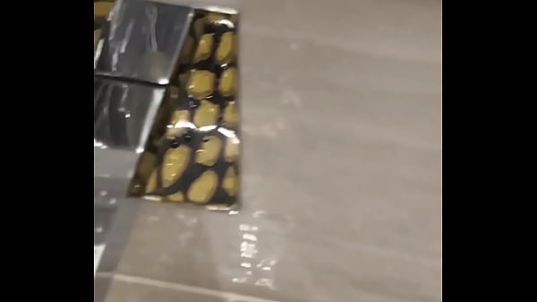 Sex after party in toilet club blowjob